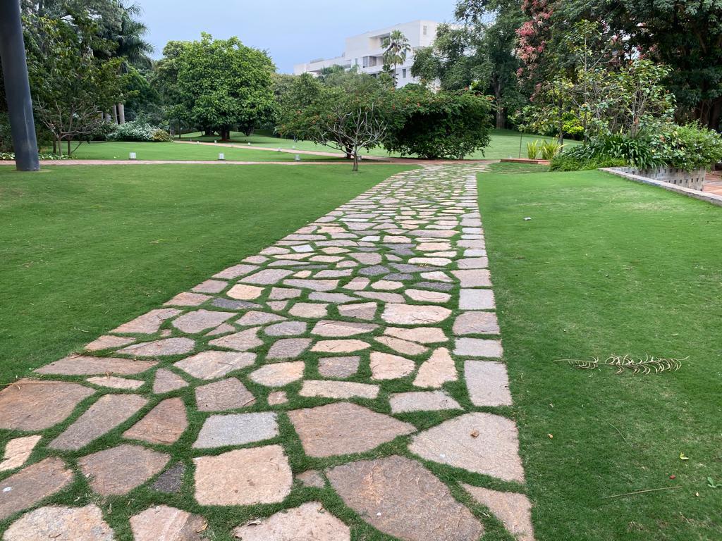 Paving Stones